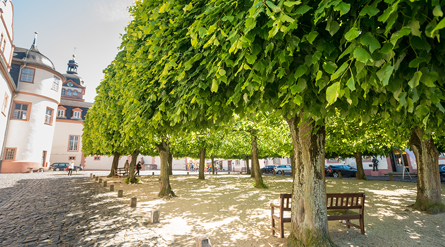 Sommer am Schloss in Weilburg